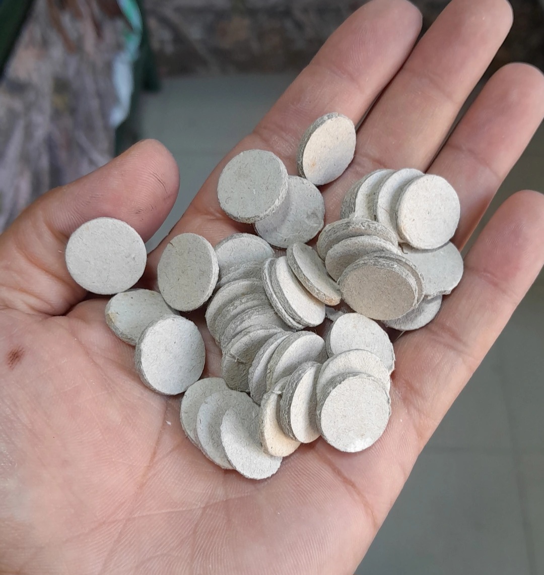 مقوا کالیبر ۱۶